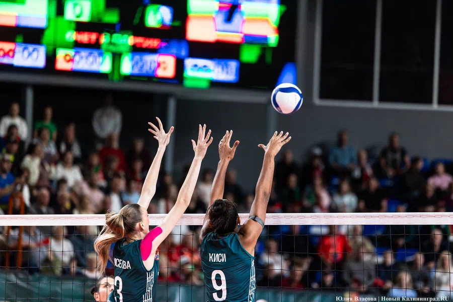 2025.10 локомотив, волейбол (12).JPG