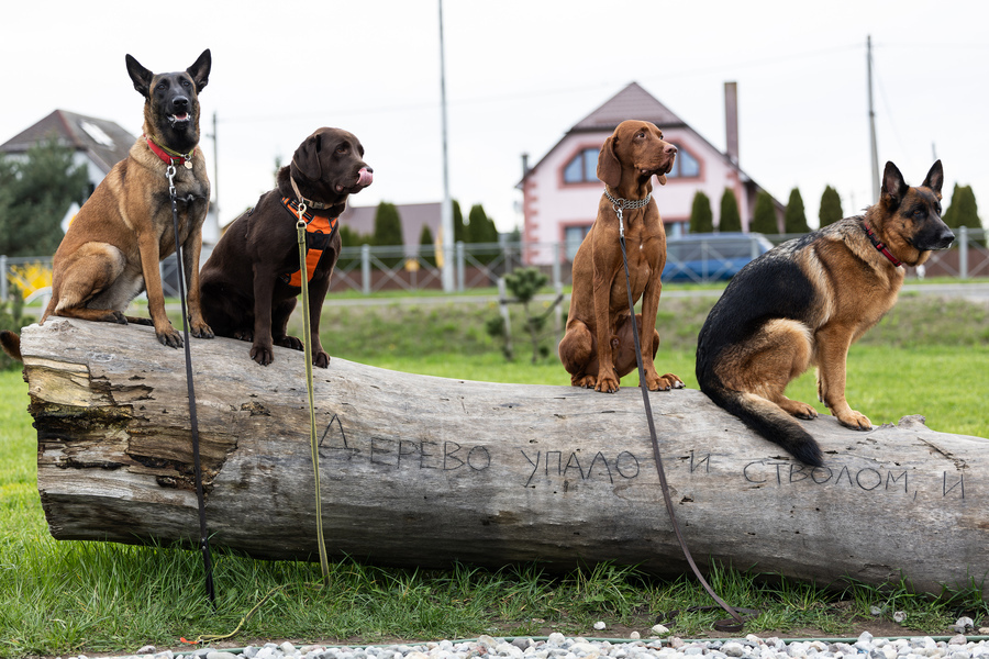 IMG_6346-CR3 (1).jpg