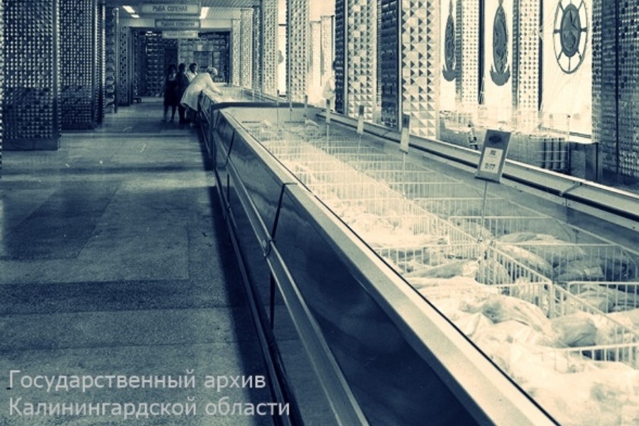 cropped-image (1).jpg cropped-image (1).jpg