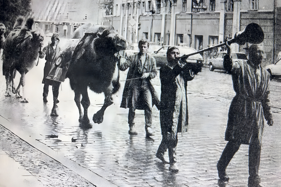 Цирк в городе .png