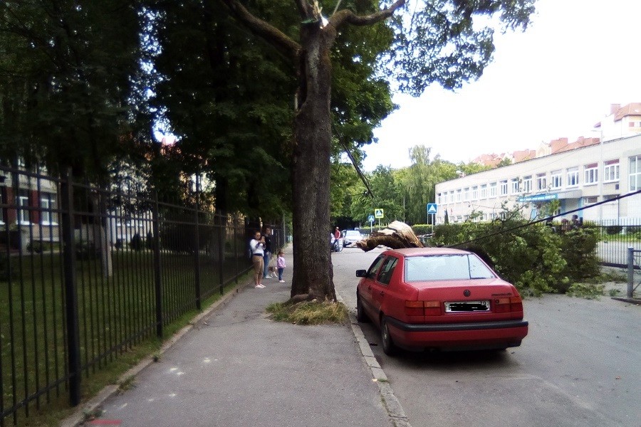 в2.jpg