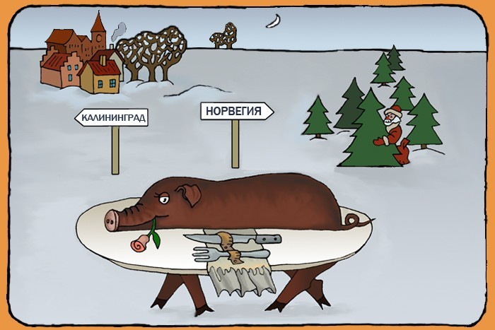 meet_norv1.jpg