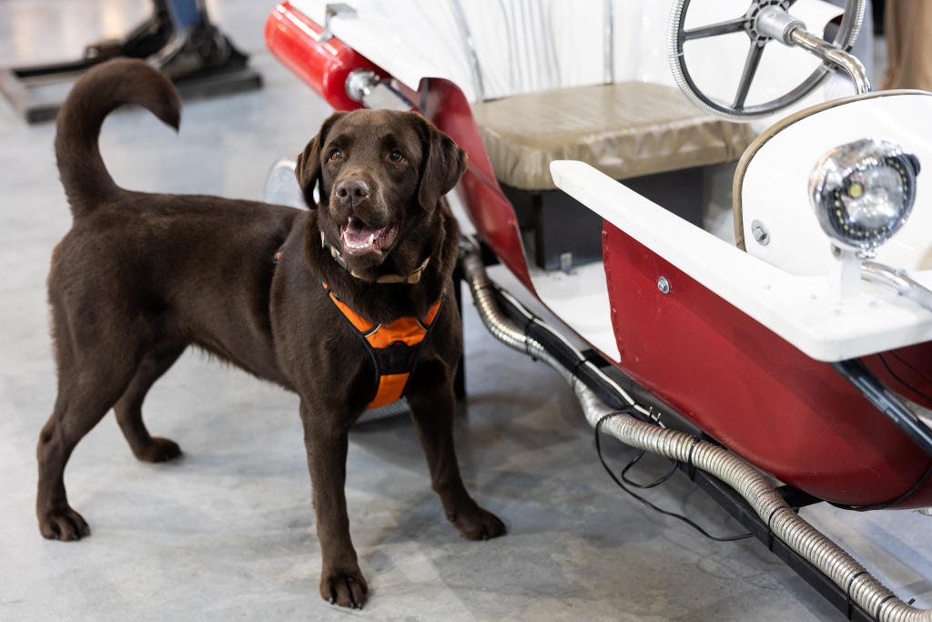 IMG_5384-CR3 (1).jpg