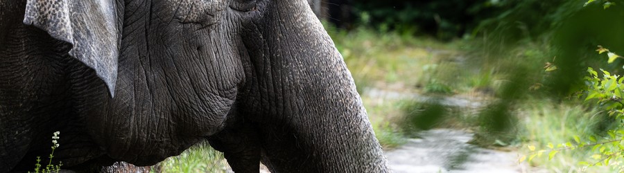 cropped-image (11).jpg cropped-image (11).jpg