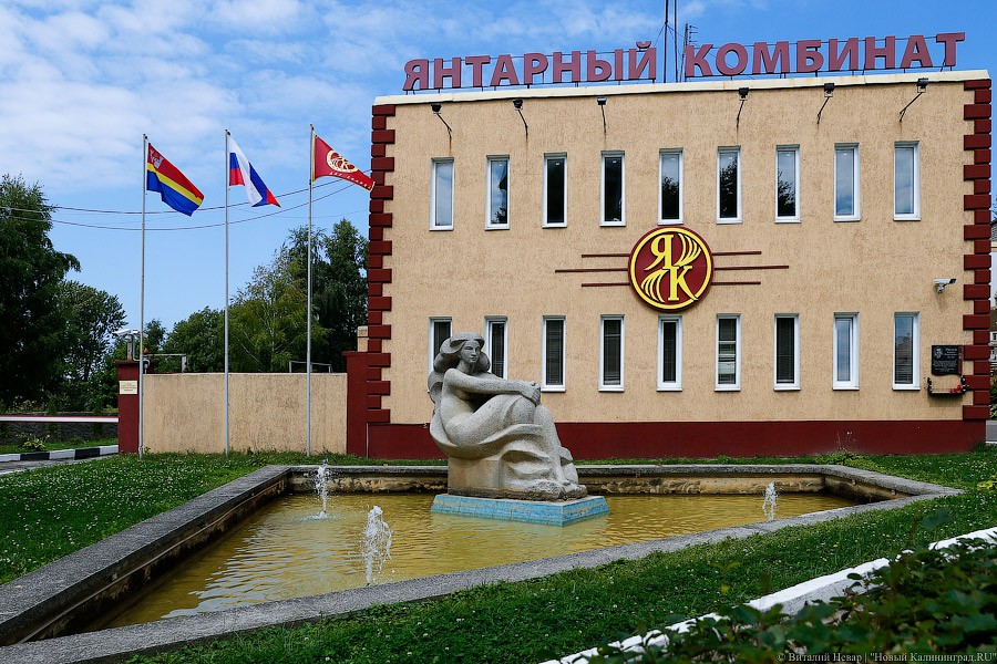 комбинат.jpg комбинат.jpg