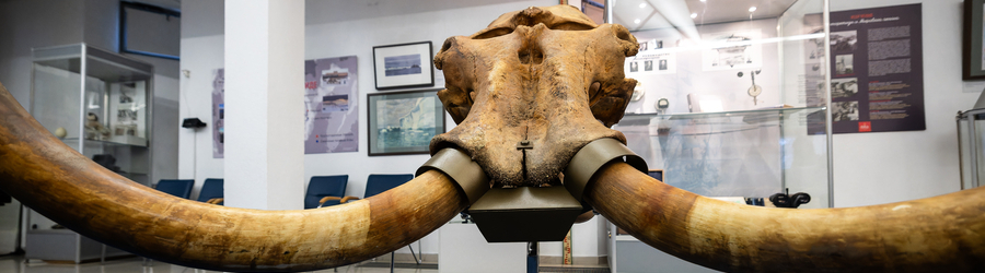 et9cvanmw1jnrfzu832x8i5mubtl7roo (1).jpg