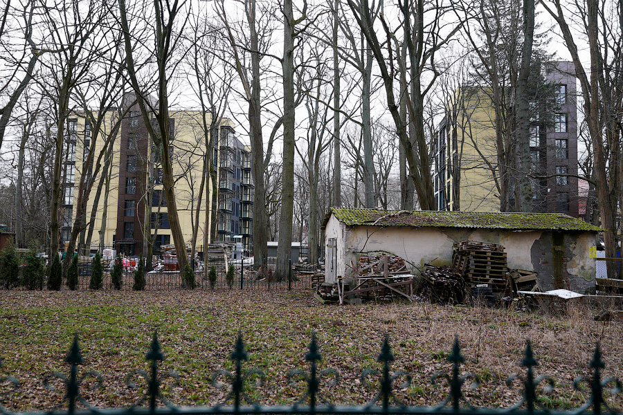 NVR08916.jpg NVR08916.jpg