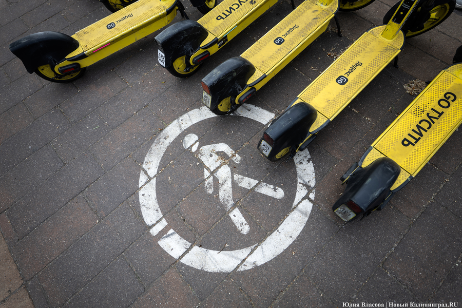 2025.05 самокаты 6.JPG