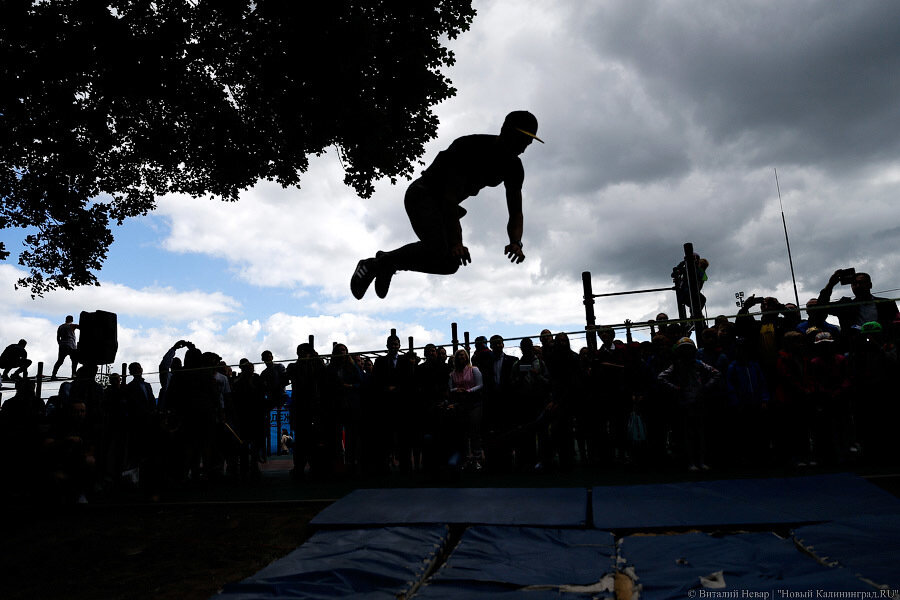 _NEV6428.jpg _NEV6428.jpg