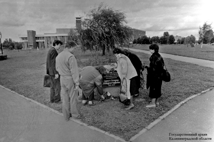 гофман готовый.png