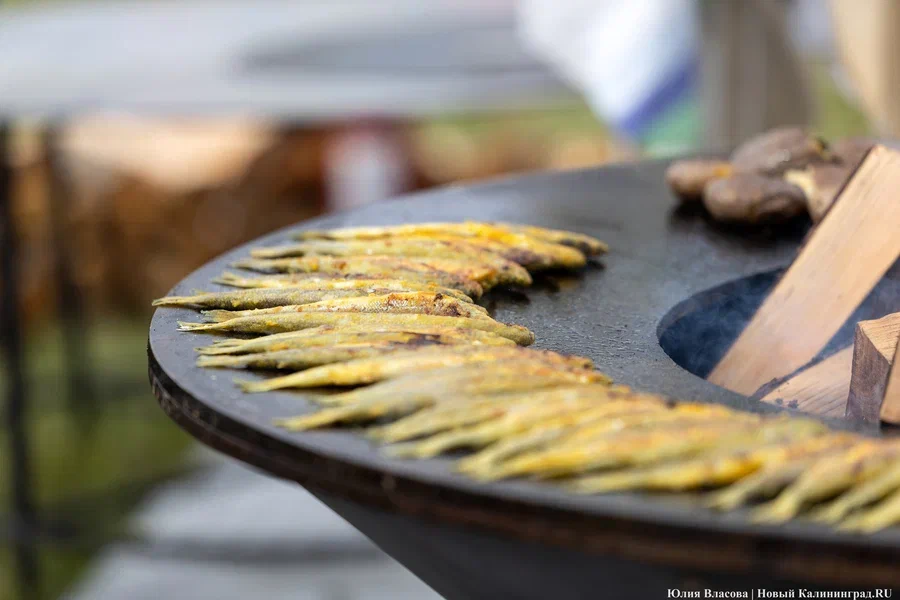 2025.04 фиштиваль, стритфуд, уличная еда, рыба 31.JPG