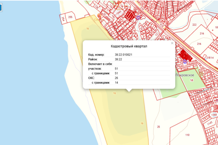 карта -Янтарный.jpg