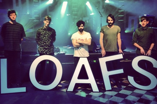 Foals