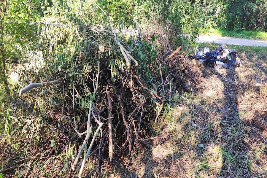 заливино учат ки6.jpg