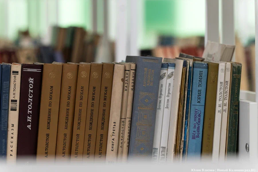 2024.01 книги, библиотека, толстой 20.JPG