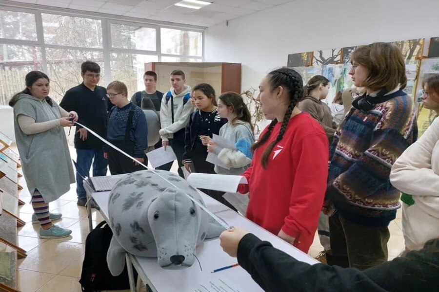 День тюленя.jpg