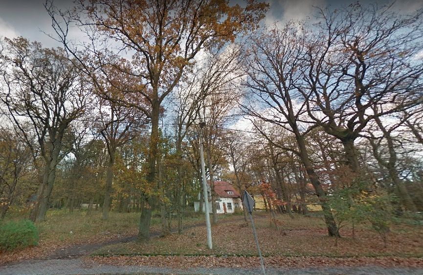 сквер.jpg Снимок экрана 2021-03-22 в 9.32.17.jpg