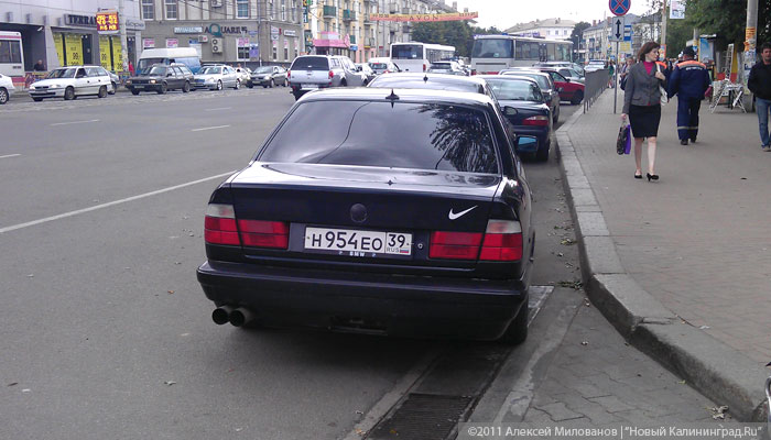 IMAG0264.jpg