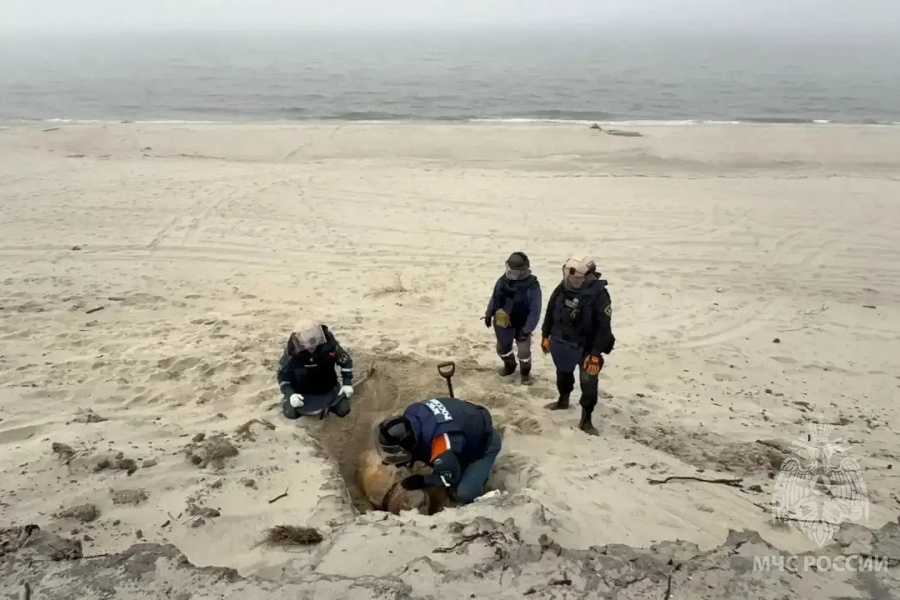 IMG_20260402_184740 (1).png