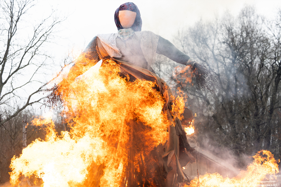 meykwvh9g58u5xu9ndlnv5kctib41ji2.jpg meykwvh9g58u5xu9ndlnv5kctib41ji2.jpg