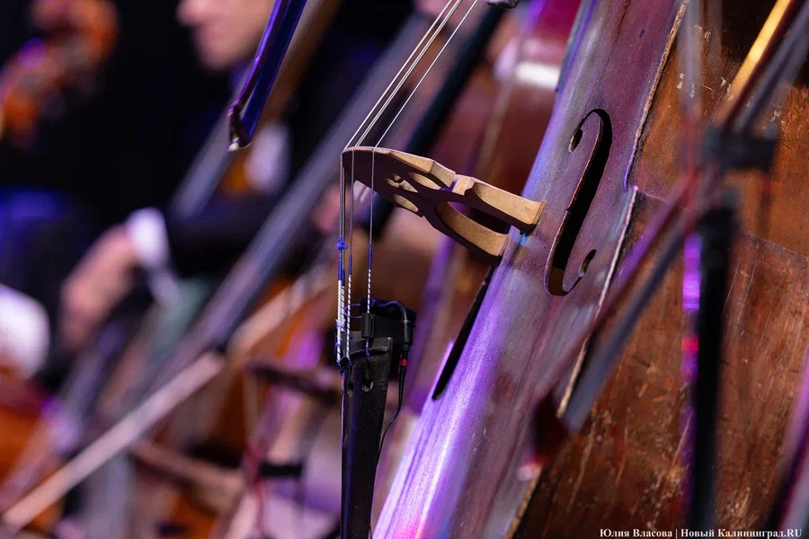 2024.08 территория мира, фестиваль, музыка, оркестр 34.JPG