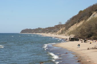 IMG_7043.jpg IMG_7043.jpg