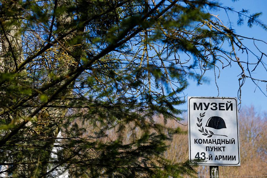 Фото: Виталий Невар / Новый Калининград