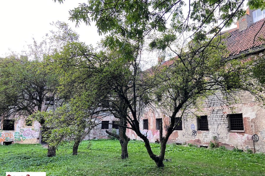 Фото предоставлено очевидцем