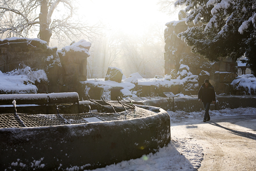 Фото: Виталий Невар / Новый Калининград